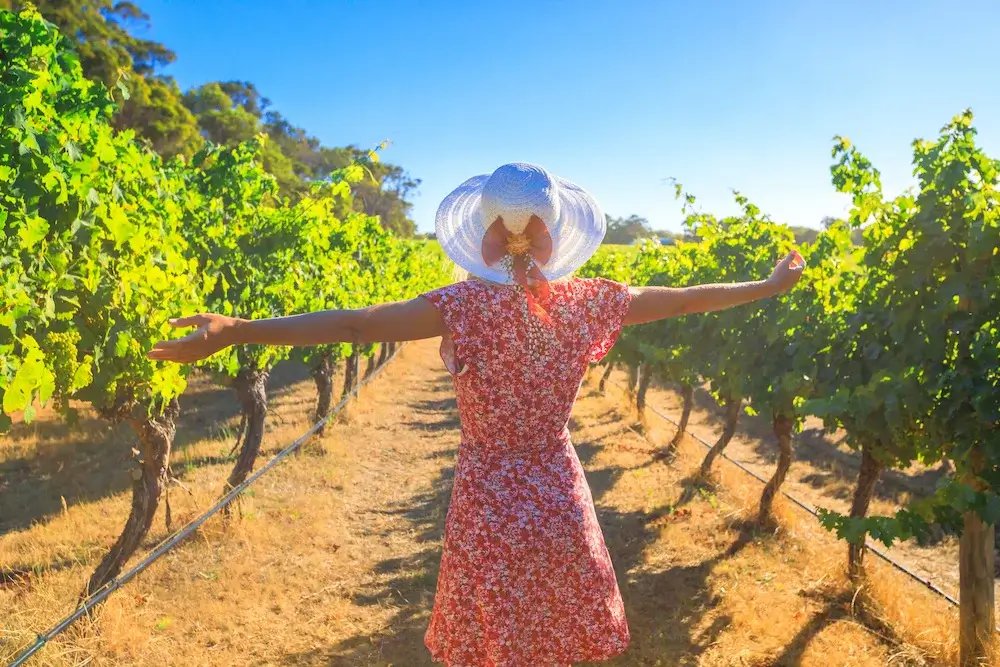 Geiger's Winery Tours Services